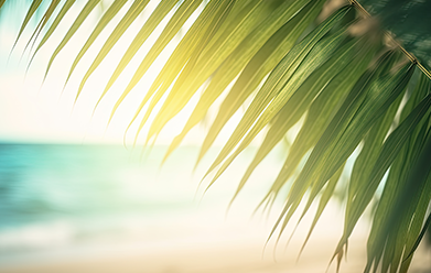 New Sustainable Community Project