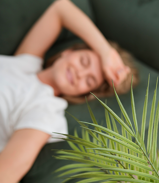 Where Vision Meets Lifestyle